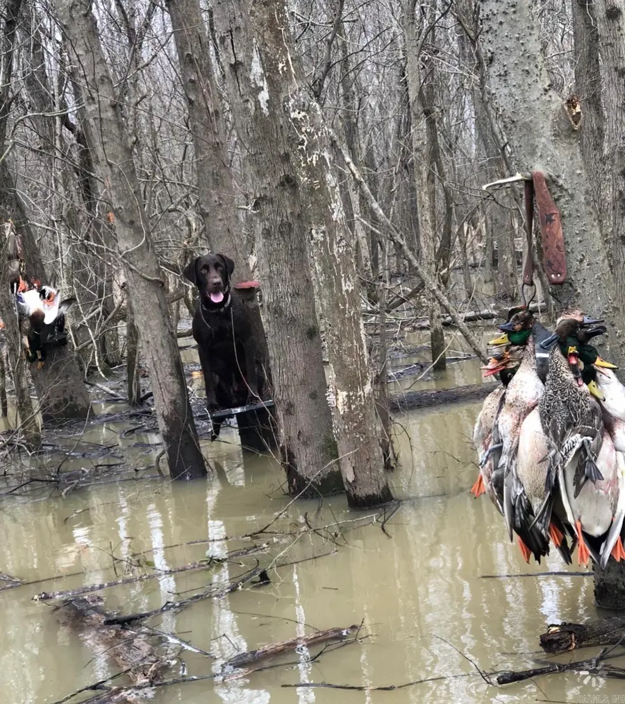 Address Withheld By Seller, Augusta, AR 72006 - #3