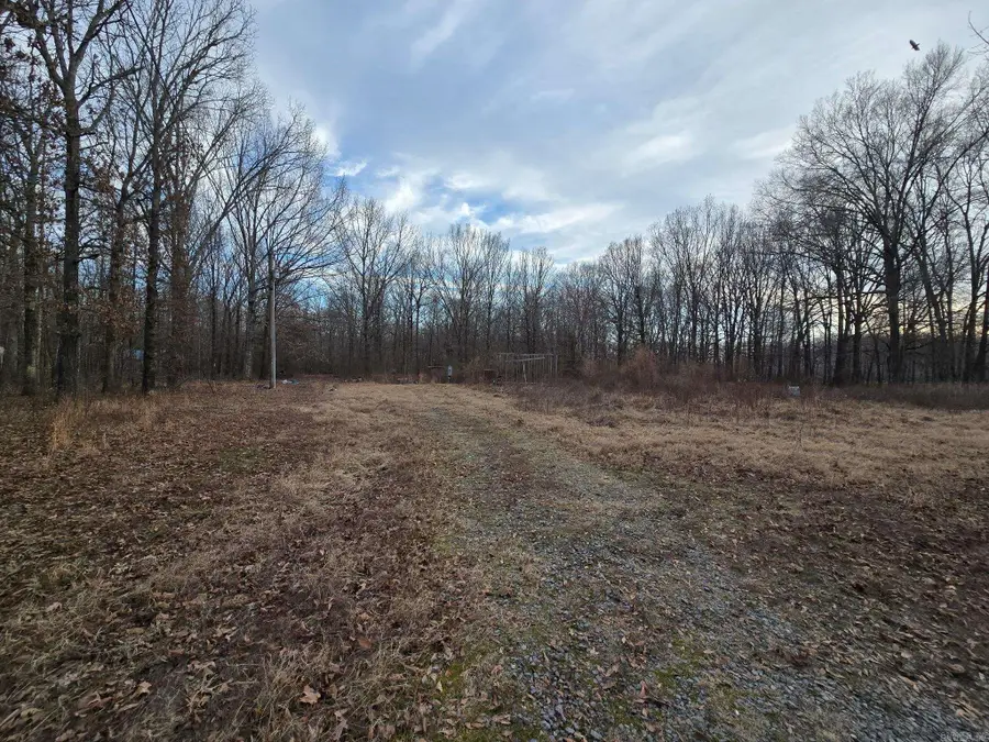 419 Robert Young Road, Ward, AR 72176 - #3