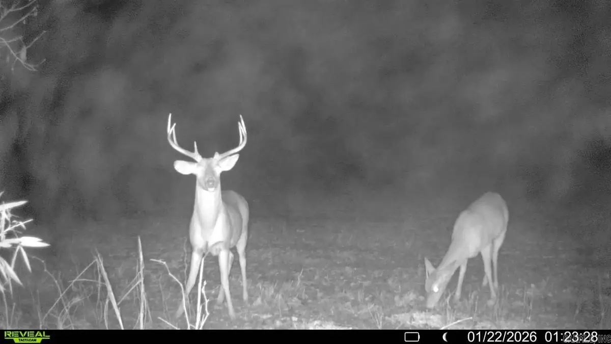 Address Withheld By Seller, Johnson, AR 72335 - #1