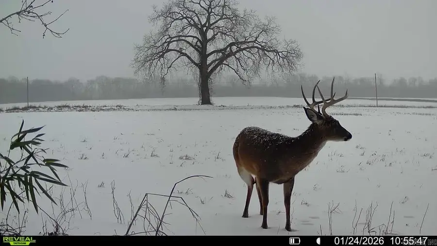 Address Withheld By Seller, Johnson, AR 72335 - #3