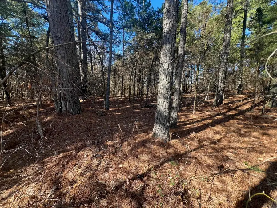 00 Wells Rd, Bald Knob, AR 72010 - #2