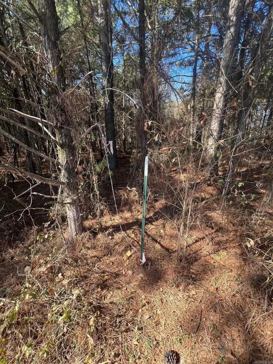 00 Wells Rd, Bald Knob, AR 72010 - #3