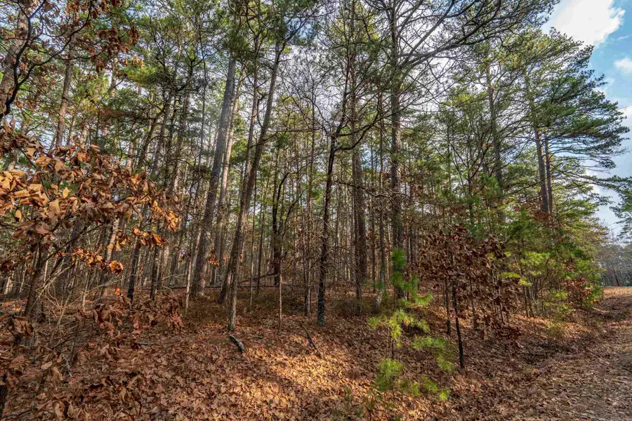 XX Pyrenees Way, Hot Springs Village, AR 71913 - #2