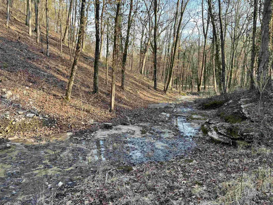 4137 Nc 8167, Jasper, AR 72641 - #2