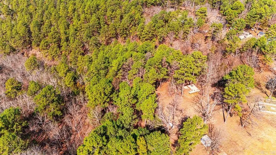 225 Ledwedge Road, Bigelow, AR 72016 - #3