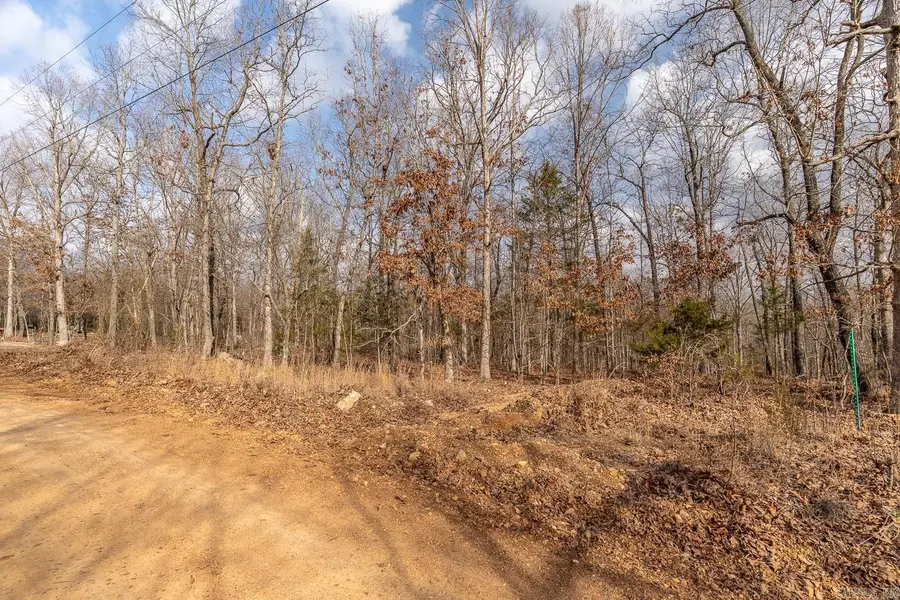 001 Barnes Road, Evening Shade, AR 72532 - #3