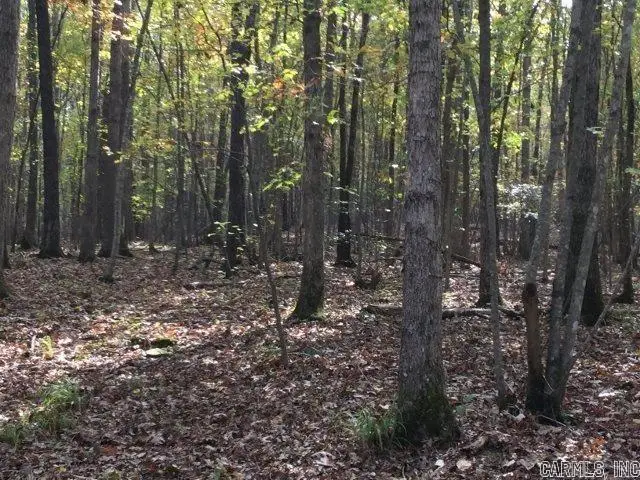 Unk Polk Road 293, Mena, AR 71953 - #3