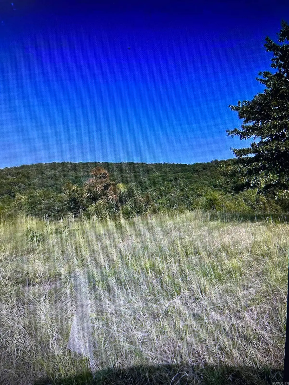 0 Spears, Greenbrier, AR 72058 - #1