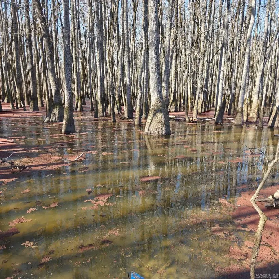 0 Lee Rd 177, Big Creek, AR 72360 - #2