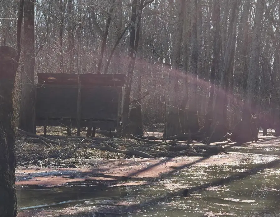 0 Lee Rd 177, Big Creek, AR 72360 - #3