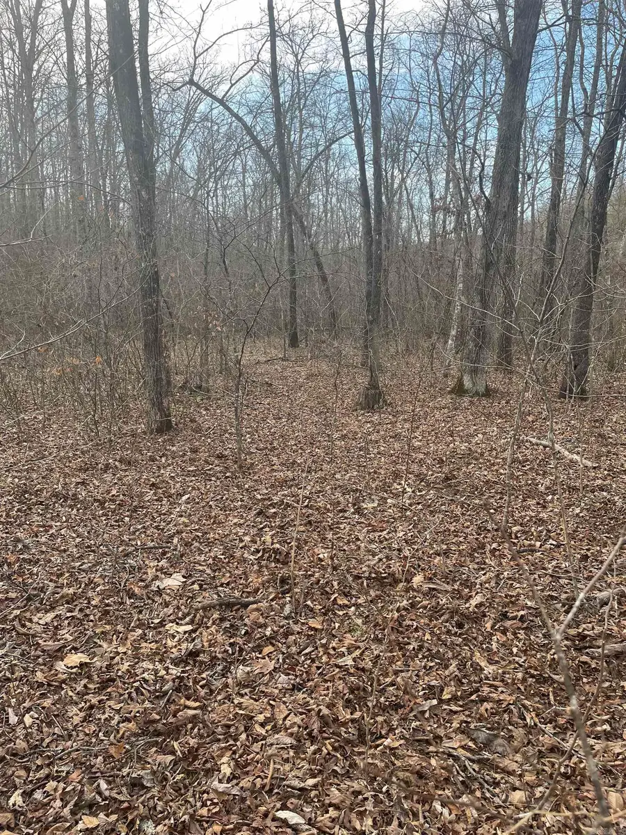 278 Quadrant Drive, Marshall, AR 72650 - #2