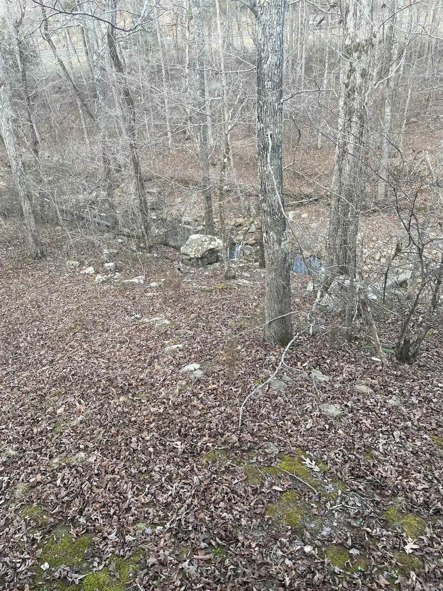 278 Quadrant Drive, Marshall, AR 72650 - #3