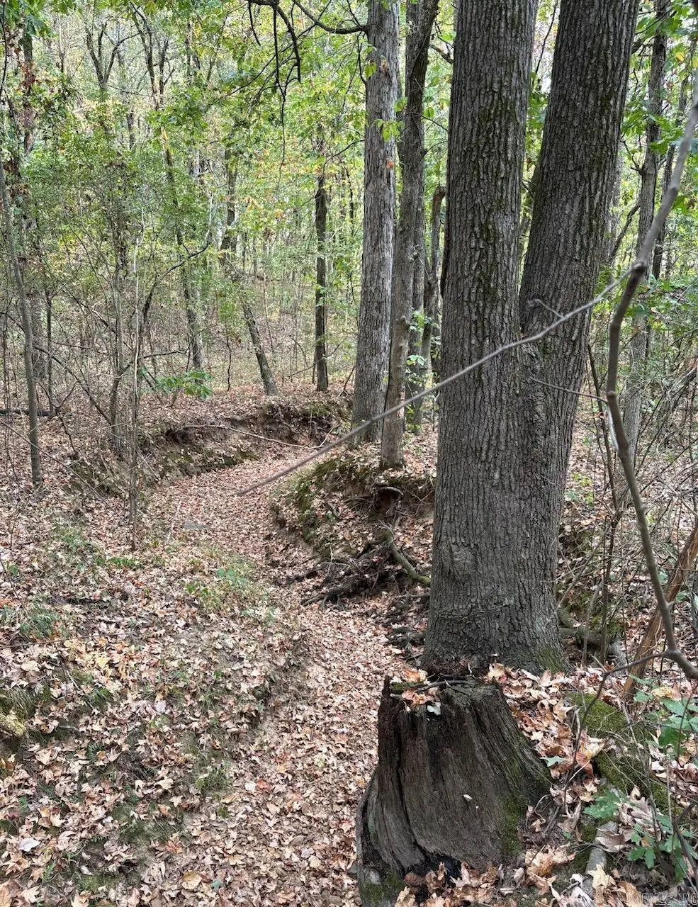 3.03 Acres County Road 389, Bono, AR 72416 - #1