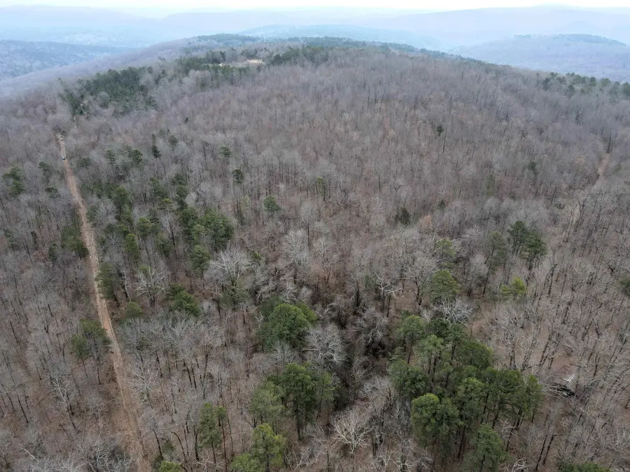 000 Jack Vaughn Road, Clinton, AR 72031 - #2