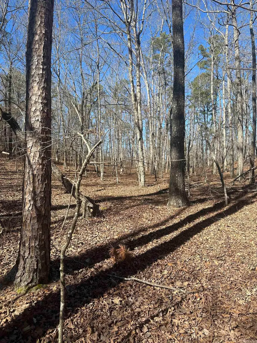 00G Walnut Valley Road, Hot Springs Village, AR 71909 - #3
