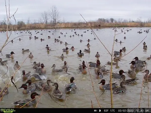 Address Withheld By Seller, McCrory, AR 72101