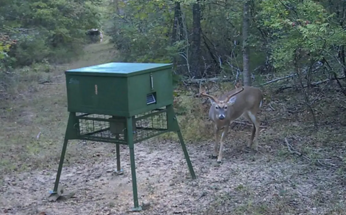 623 Batesville Mountain Road, Damascus, AR 72039 - #1