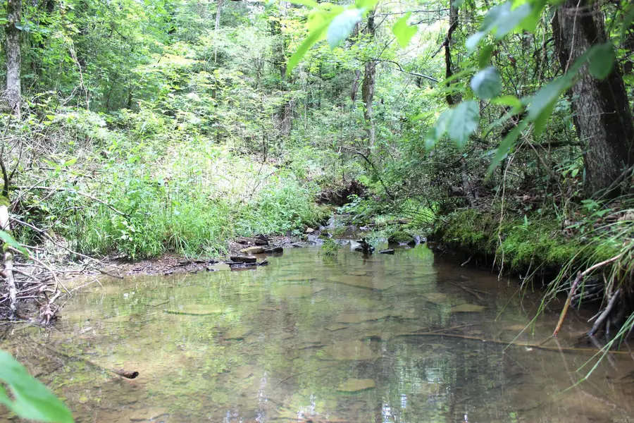 623 Batesville Mountain Road, Damascus, AR 72039 - #2