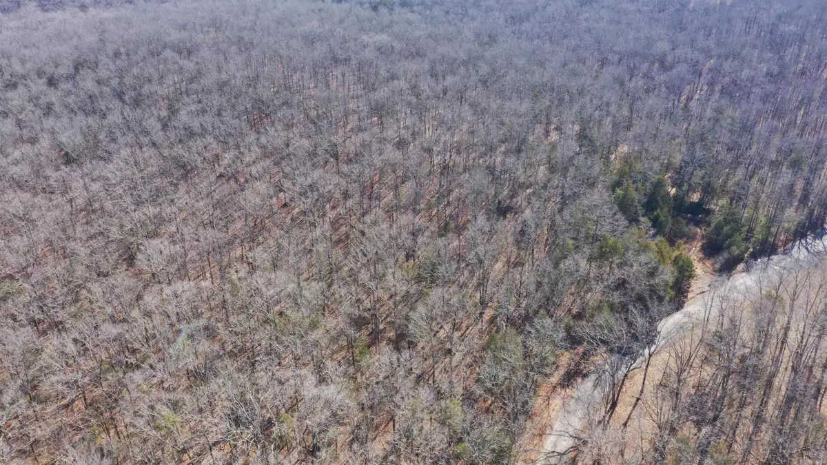 00 Mcnew Cemetery Rd, Greenbrier, AR 72058 - #1