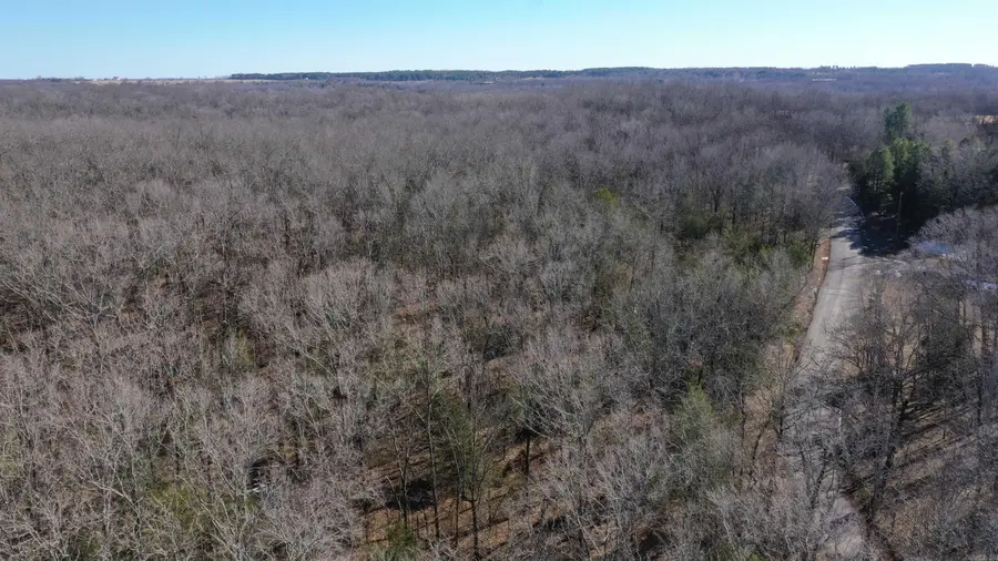 00 Mcnew Cemetery Rd, Greenbrier, AR 72058 - #3