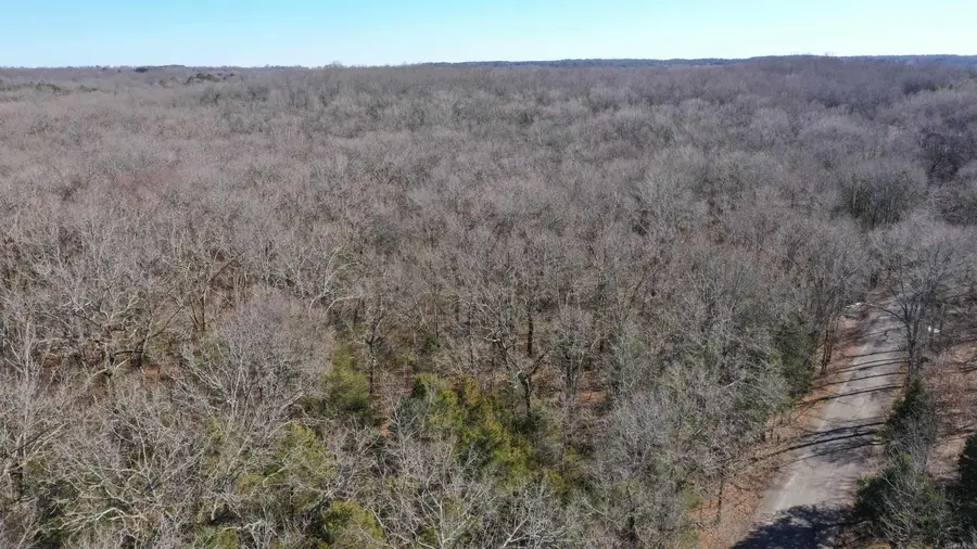 0 Mcnew Cemetery Rd, Greenbrier, AR 72058 - #3