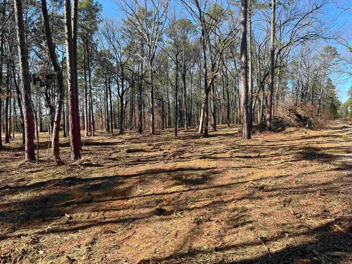 00 Island Shores, Greers Ferry, AR 72067 - #1