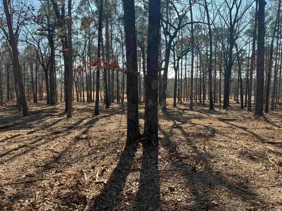 00 Island Shores, Greers Ferry, AR 72067 - #2