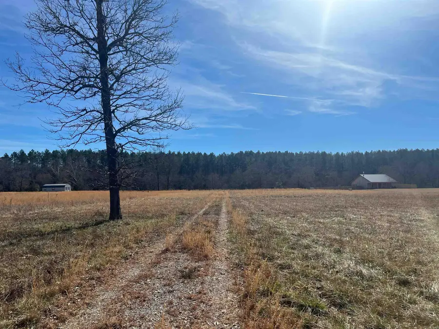 157 Revas Way, Story, AR 71970 - #3