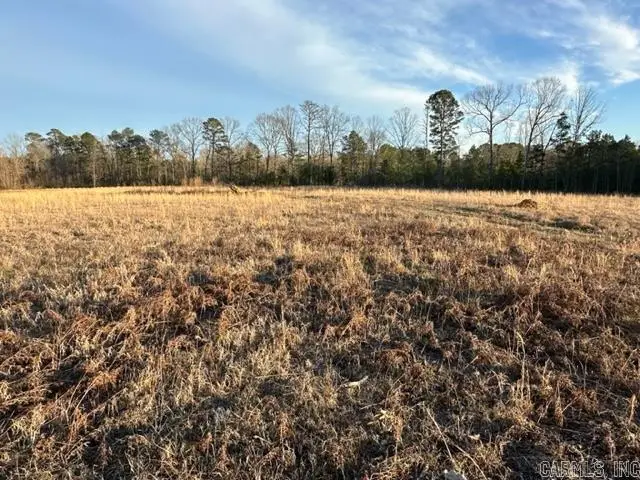Lot 8 Grant 84, Sheridan, AR 72150 - #2