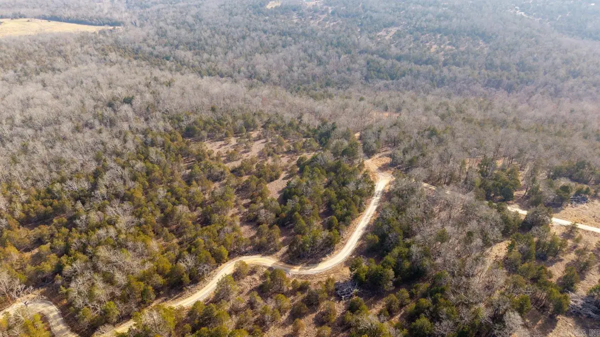 000 Rimstone Lane, Gainesville, MO 65655 - #1