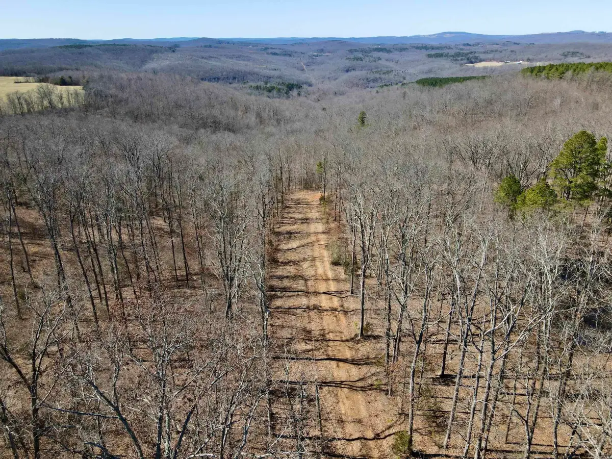 Address Withheld By Seller, Jerusalem, AR 72080 - #1