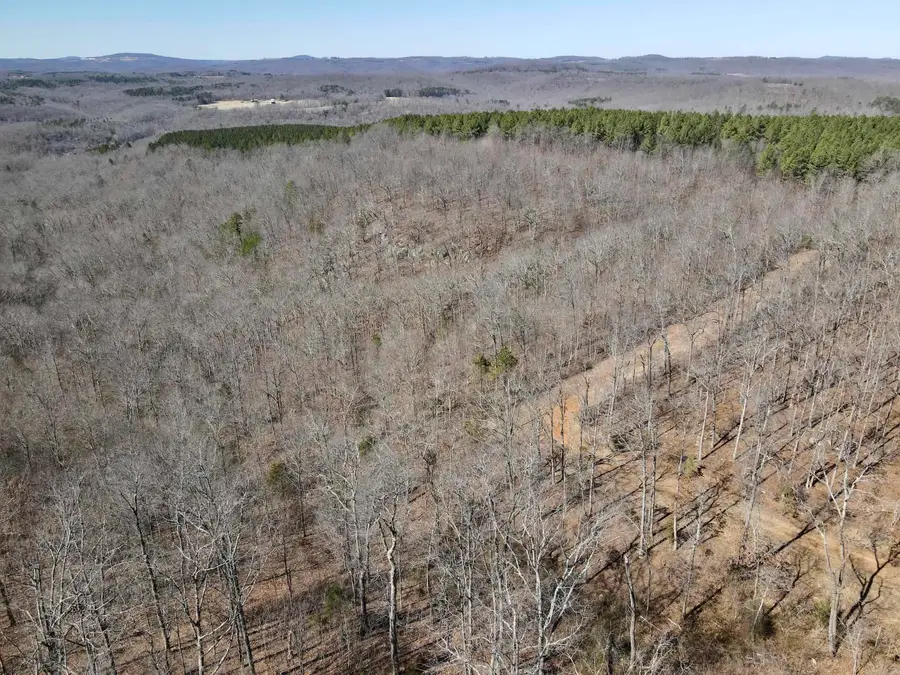 Address Withheld By Seller, Jerusalem, AR 72080 - #2