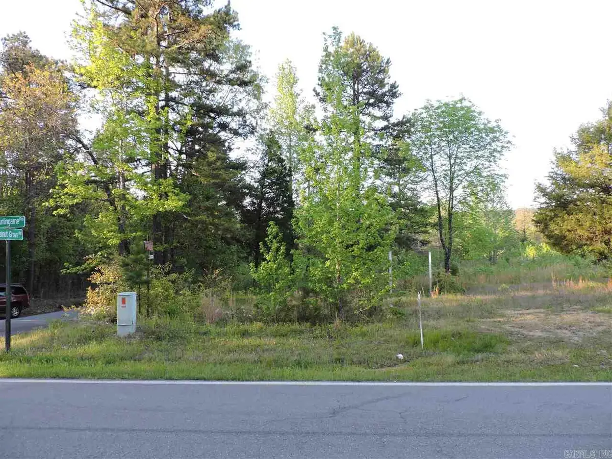 Lot 2 Walnut Grove @ Burlingame Rds., Little Rock, AR 72223 - #1