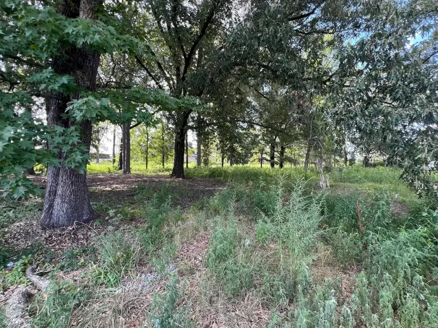 6020 Young Road, Little Rock, AR 72209 - #2