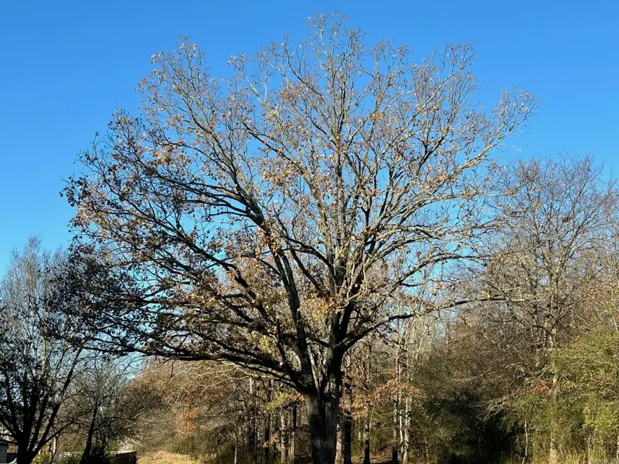 00 Batesville Pike, Sherwood, AR 72120 - #3