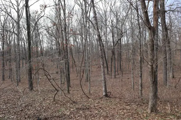 TBD Great Woods Rd, Mammoth Spring, AR 72554