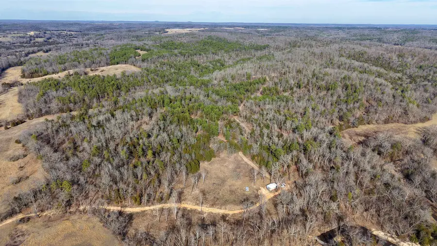 123 Campground Road, Wideman, AR 72585 - #2