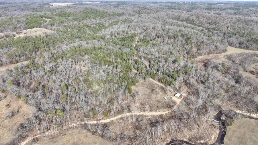 123 Campground Road, Wideman, AR 72585 - #3