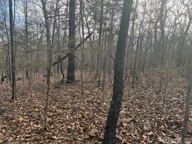 Tract 3 Mc 8003, Yellville, AR 72687 - #3