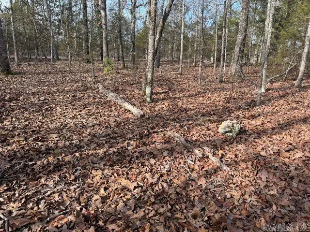 Tract 1 Mc 8003, Yellville, AR 72687 - #3