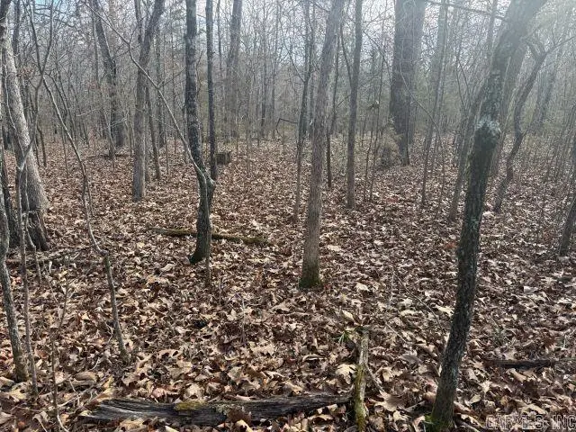 Tract 2 Mc 8003, Yellville, AR 72687 - #2