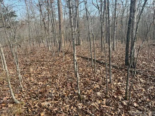 Tract 2 Mc 8003, Yellville, AR 72687 - #3