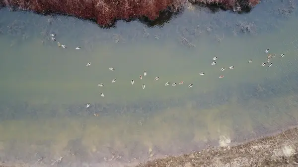 00 Cr 242 Road, Wynne, AR 72396