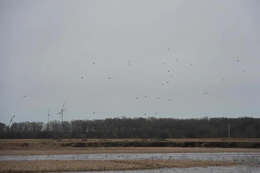 00 Cr 242 Road, Wynne, AR 72396 - #3