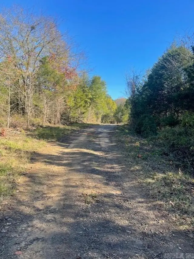 Goff Circle, Dyer, AR 72921 - #2