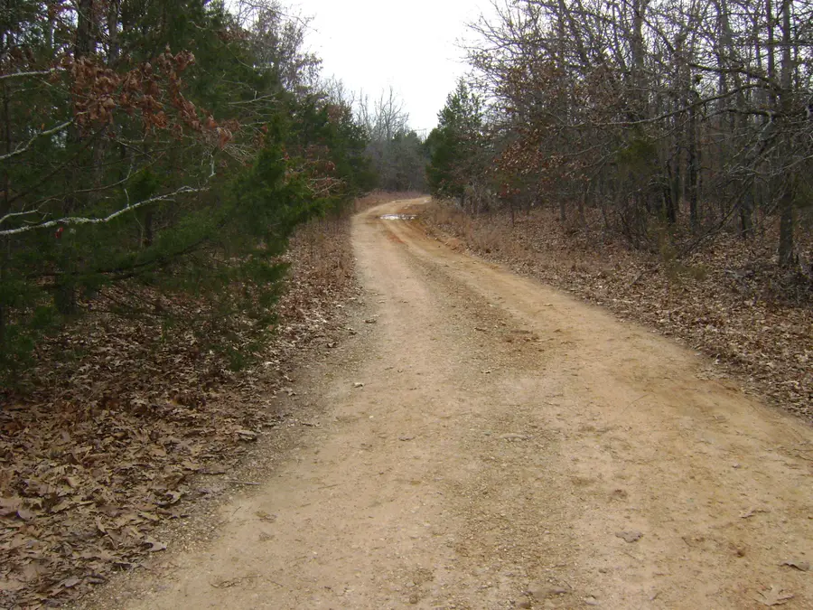 Kennedy Road, Ash Flat, AR 72513 - #2