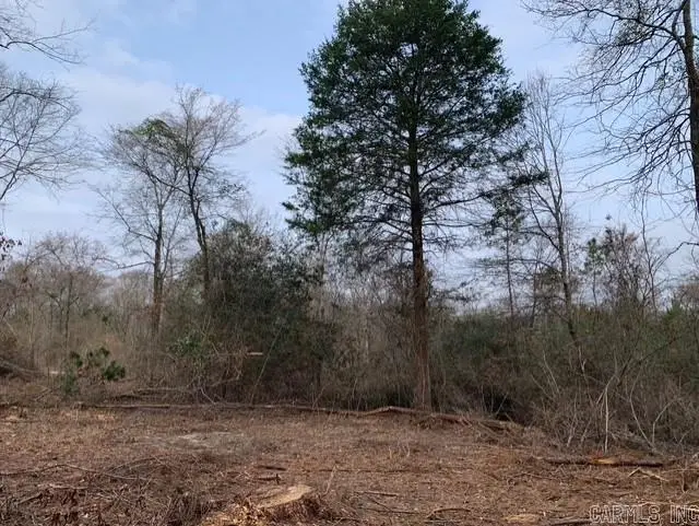 Tract 3 11395 Hwy 84, Bismarck, AR 71929 - #1