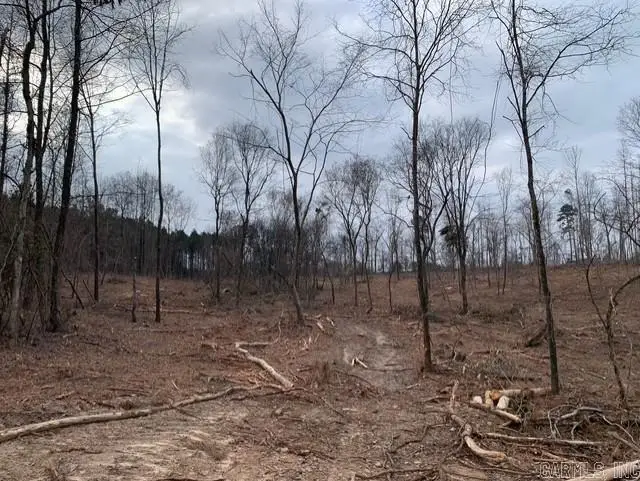 Tract 3 11395 Hwy 84, Bismarck, AR 71929 - #2