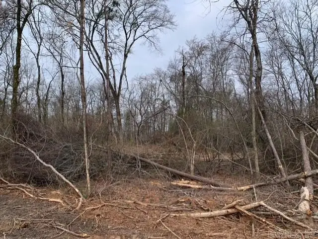 Tract 3 11395 Hwy 84, Bismarck, AR 71929 - #3