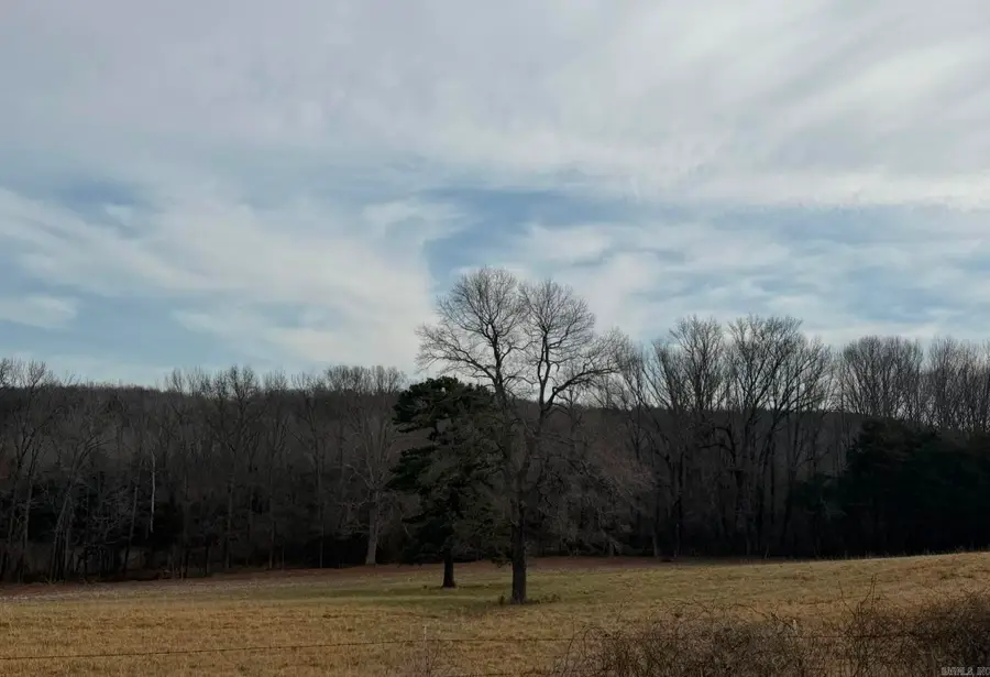 000 Sandy Ford Rd., Antioch, AR 72012 - #3